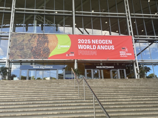 World Angus Forum 2025 Australie